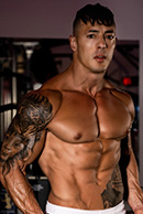 Pitbul